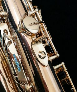 Yanagisawa AWO2 Alto Sax - Professional Bronze Alto Sax