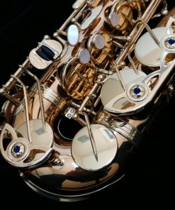 Yanagisawa AWO20 Elite Bronze Alto Sax