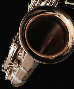 Yanagisawa AWO20 Elite Bronze Alto Sax