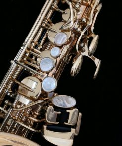Yanagisawa AWO20 Elite Bronze Alto Sax