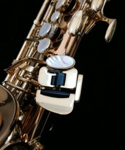 Yanagisawa AWO20 Elite Bronze Alto Sax
