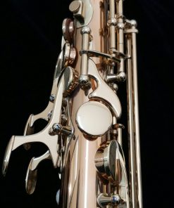 Yanagisawa AWO20 Elite Bronze Alto Sax