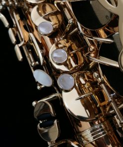 Yanagisawa AWO20 Elite Bronze Alto Sax