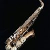 Yanagisawa AWO20 Elite Bronze Alto Sax