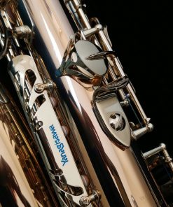 Yanagisawa AWO20 Elite Bronze Alto Sax