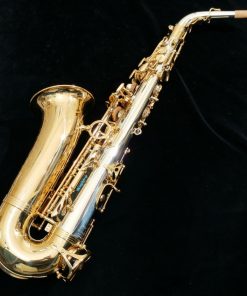 Yanagisawa AWO30 Alto Sax - Solid Silver Neck & Body