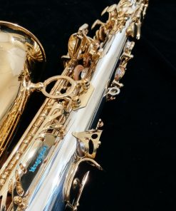 Yanagisawa AWO30 Alto Sax - Solid Silver Neck & Body