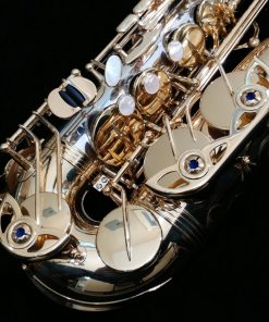 Yanagisawa AWO30 Alto Sax - Solid Silver Neck & Body