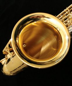 Yanagisawa AWO30 Alto Sax - Solid Silver Neck & Body