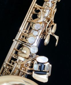 Yanagisawa AWO30 Alto Sax - Solid Silver Neck & Body