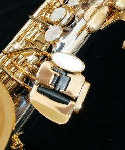 Yanagisawa AWO30 Alto Sax - Solid Silver Neck & Body