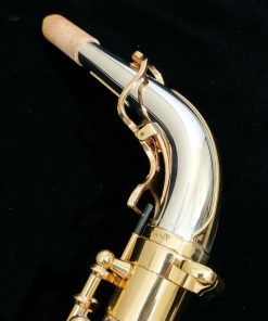 Yanagisawa AWO30 Alto Sax - Solid Silver Neck & Body