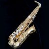 Yanagisawa AWO30 Alto Sax - Solid Silver Neck & Body