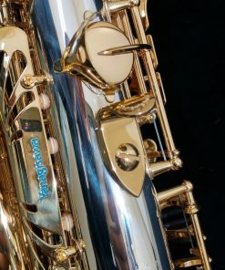 Yanagisawa AWO30 Alto Sax - Solid Silver Neck & Body