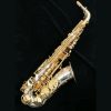Yanagisawa AWO37 Solid Silver Alto Sax