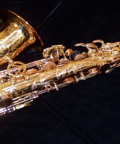 Antigua Pro One Alto Sax - designed by Peter Ponzol