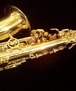 Selmer USA - AS42 Semi-Pro Alto Sax
