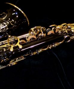 Series III Black Alto Sax - Selmer Paris 62JBL Jubilee