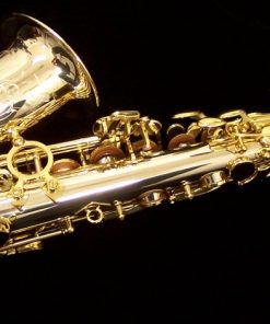 Solid Silver Series III Alto Sax - Selmer Paris Jubilee