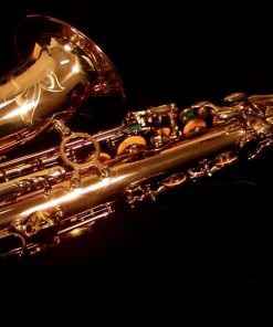 Kessler Custom SONUS Alto Sax - Image 3