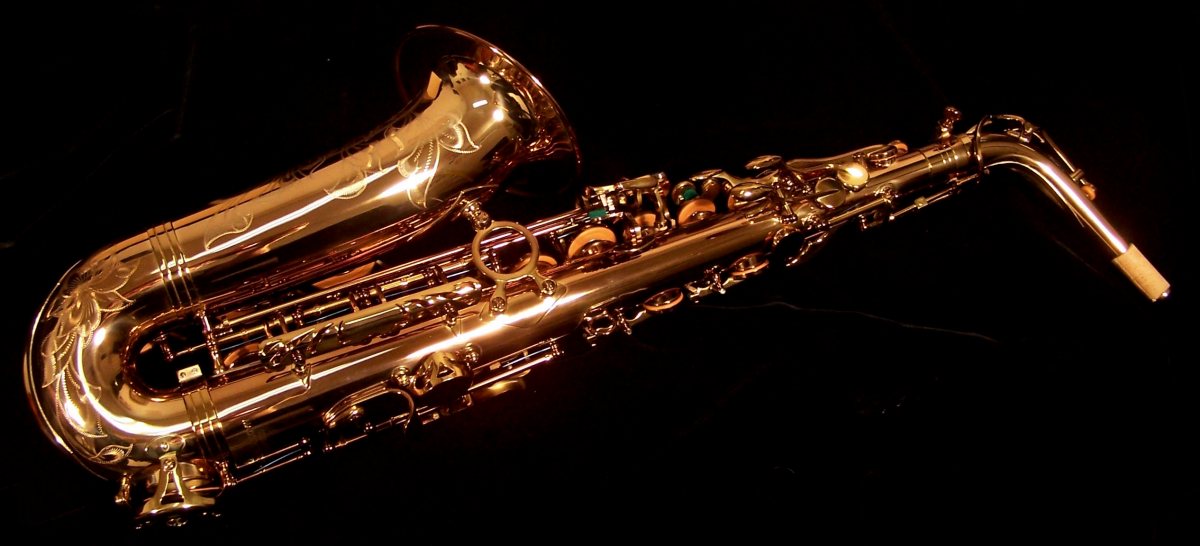 Kessler Custom SONUS Alto Sax - Image 3