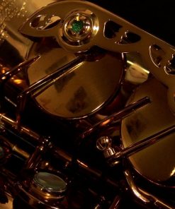 Kessler Custom SONUS Alto Sax - Image 13