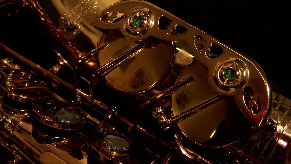 Kessler Custom SONUS Alto Sax - Image 13