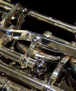 Shadow Alto Sax by Julius Keilwerth