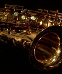 Kessler Custom SONUS Alto Sax - Image 4