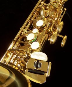 Julius Keilwerth MKX Alto Sax - Gold Lacquer