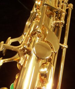 Julius Keilwerth MKX Alto Sax - Gold Lacquer