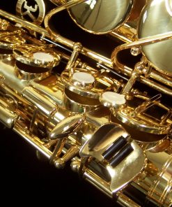 Julius Keilwerth MKX Alto Sax - Gold Lacquer