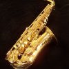 Julius Keilwerth MKX Alto Sax - Gold Lacquer