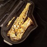Kessler Custom Handmade Series Alto Sax - Gold Lacquer