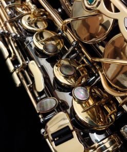 Kessler Custom Deluxe Series Alto Sax