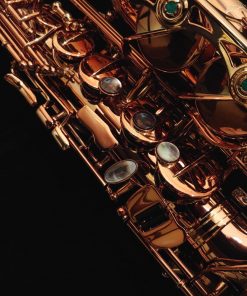 Kessler Custom Handmade Alto Sax - Vintage Dark Lacquer