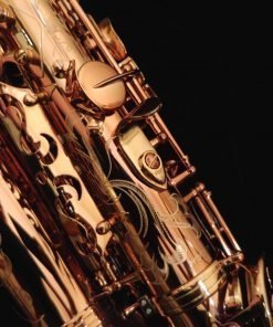Kessler Custom Handmade Alto Sax - Vintage Dark Lacquer