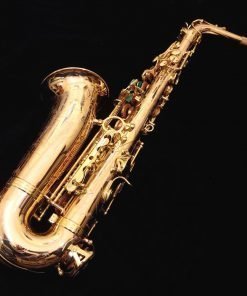 Kessler Custom Handmade Series Alto Sax - Gold Lacquer