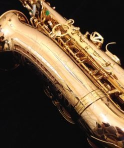 Kessler Custom Handmade Series Alto Sax - Gold Lacquer