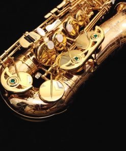 Kessler Custom Handmade Series Alto Sax - Gold Lacquer
