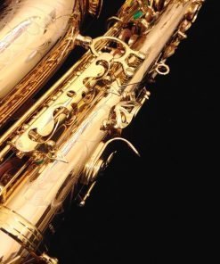 Kessler Custom Handmade Series Alto Sax - Gold Lacquer