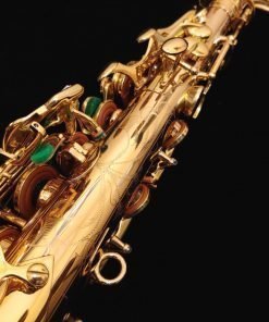 Kessler Custom Handmade Series Alto Sax - Gold Lacquer