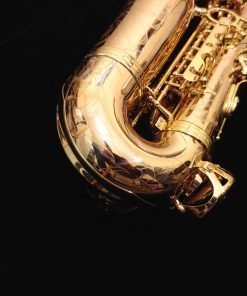 Kessler Custom Handmade Series Alto Sax - Gold Lacquer