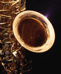 Kessler Custom Handmade Series Alto Sax - Gold Lacquer