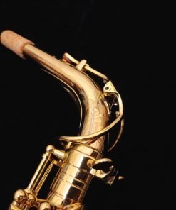 Kessler Custom Handmade Series Alto Sax - Gold Lacquer