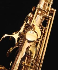 Kessler Custom Handmade Series Alto Sax - Gold Lacquer