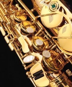 Kessler Custom Handmade Series Alto Sax - Gold Lacquer