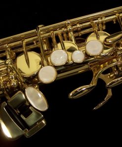 Selmer USA - AS42 Semi-Pro Alto Sax