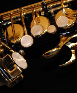 52JBL Selmer Paris Series II Black Lacquered Alto Sax