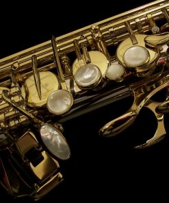 Solid Silver Series III Alto Sax - Selmer Paris Jubilee